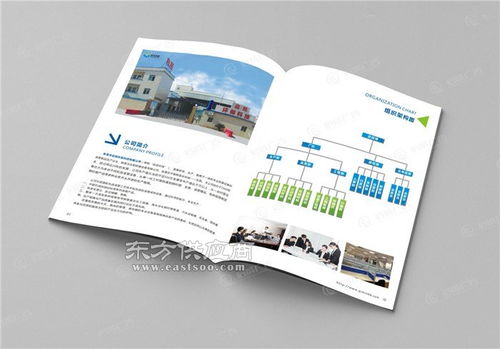 啟成廣告一步到位 玩具公司宣傳畫冊(cè) 東莞石碣公司宣傳畫冊(cè)圖片